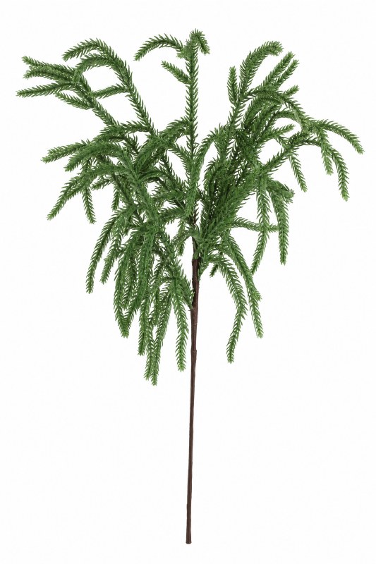 Picture of Greenery Spruce Stem 55cm